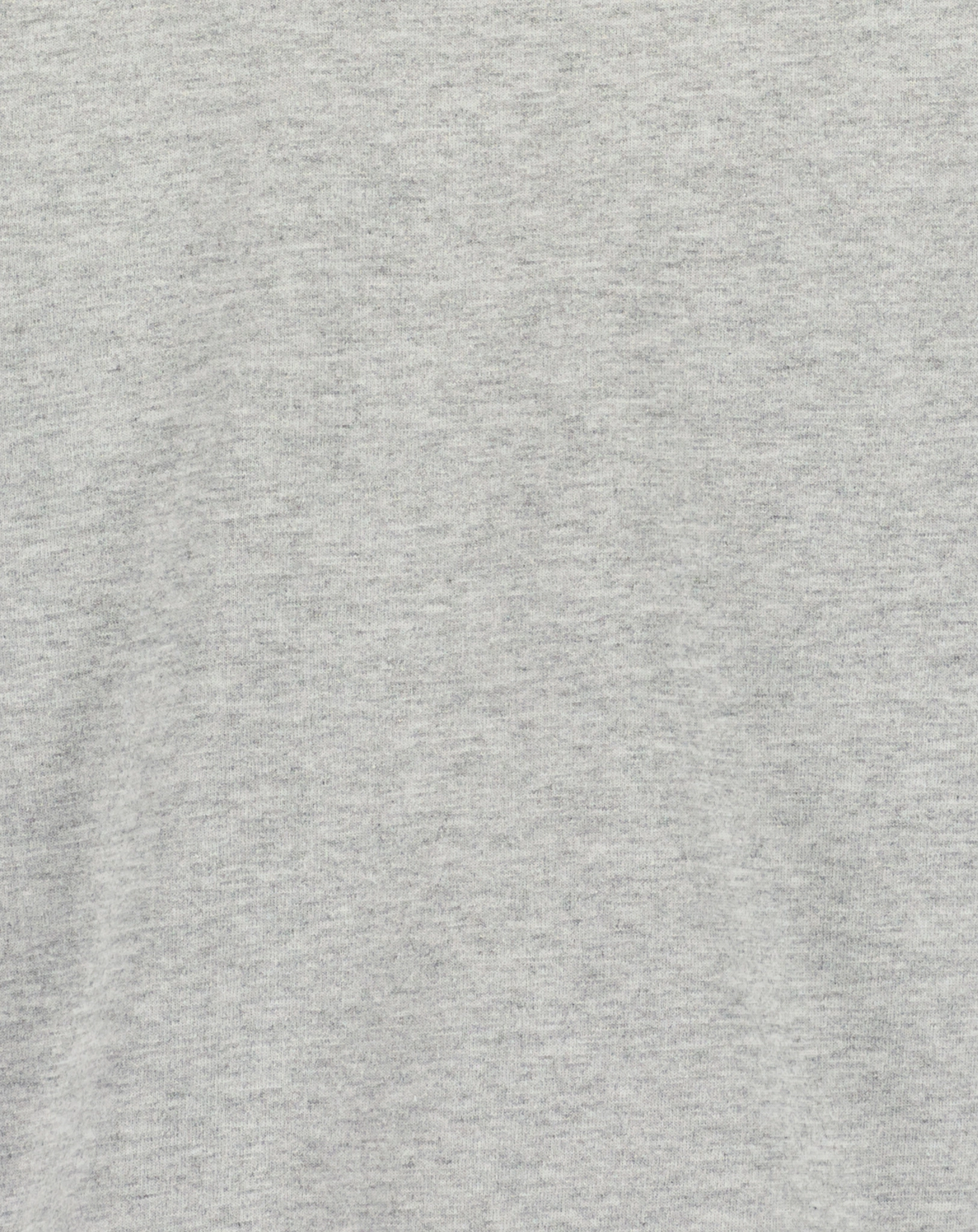 Sweatshirt ROARING DINO in nebel melange