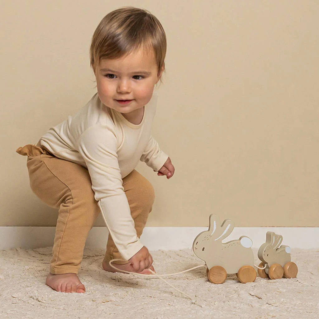 trekdier konijnen baby bunny