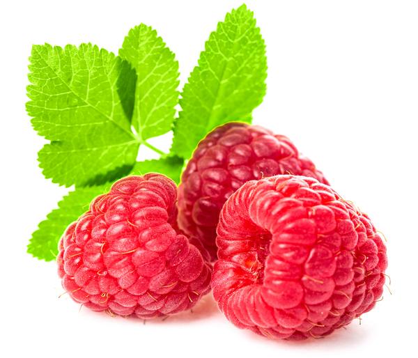 Beeren-Set Marmeladen-Mix, 4-teilig
