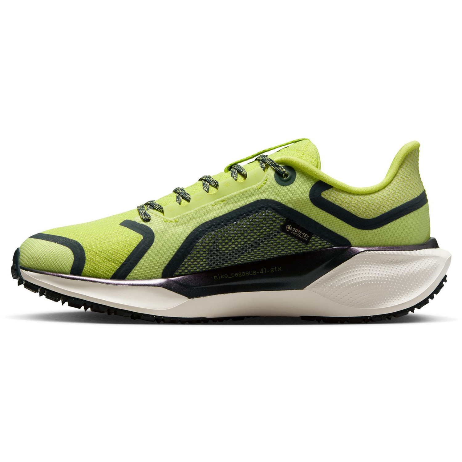 Nike Pegasus 41 GTX Dames