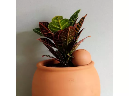 Mini ollas à planter en argile
