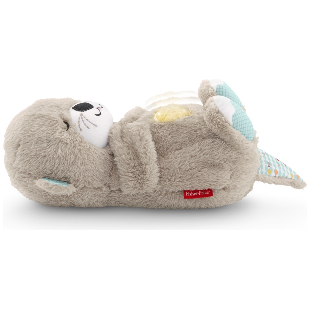 Fisher-Price Beruhigungs- und Kuschelotter
