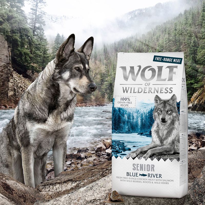 Wolf of Wilderness Senior Blue River poulet élevé en liberté, saumon