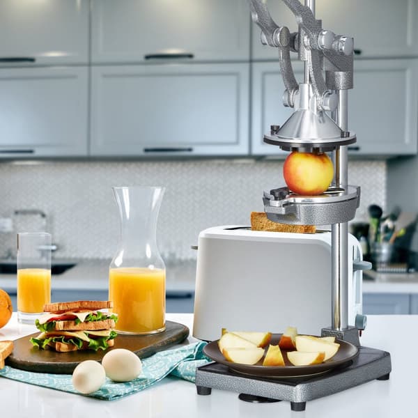 Juicer manuell rustfritt stål