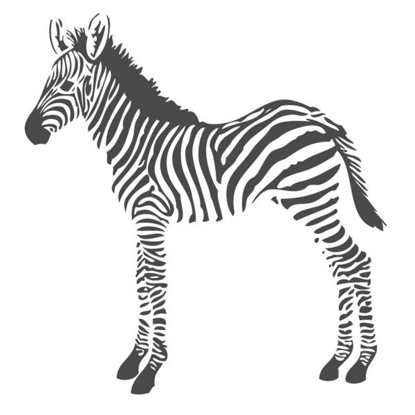 Estahome Zebra's Fotobehang  - 1,5 x 2,79 m - Zwart / Wit