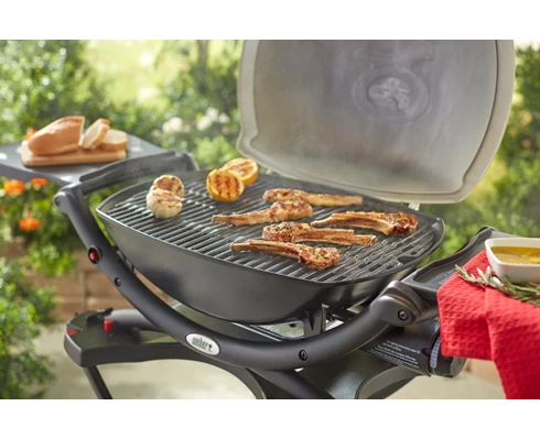 Weber Grillrist - Q2000/200-serie
