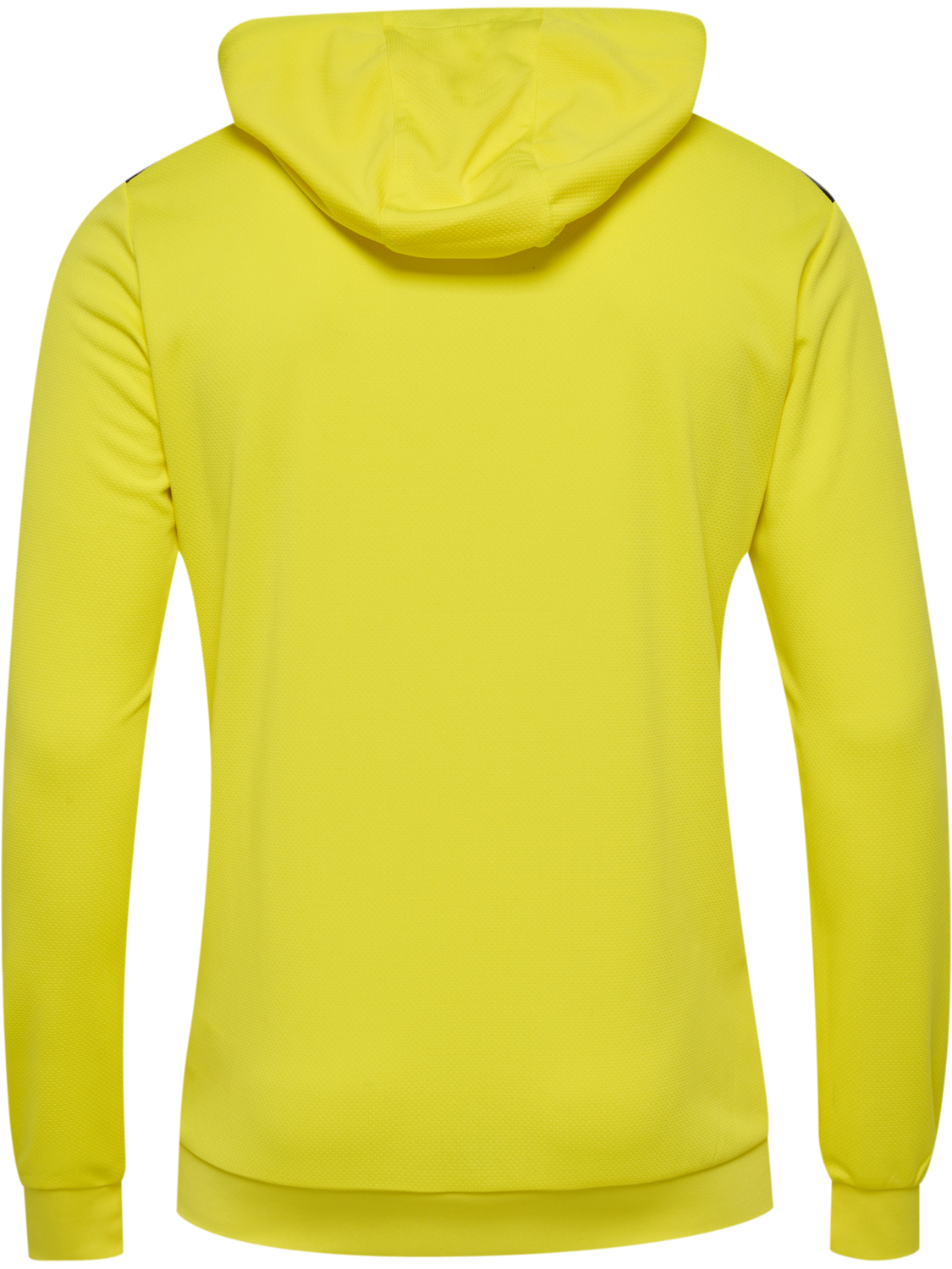 hmlAUTHENTIC PL HOODIE