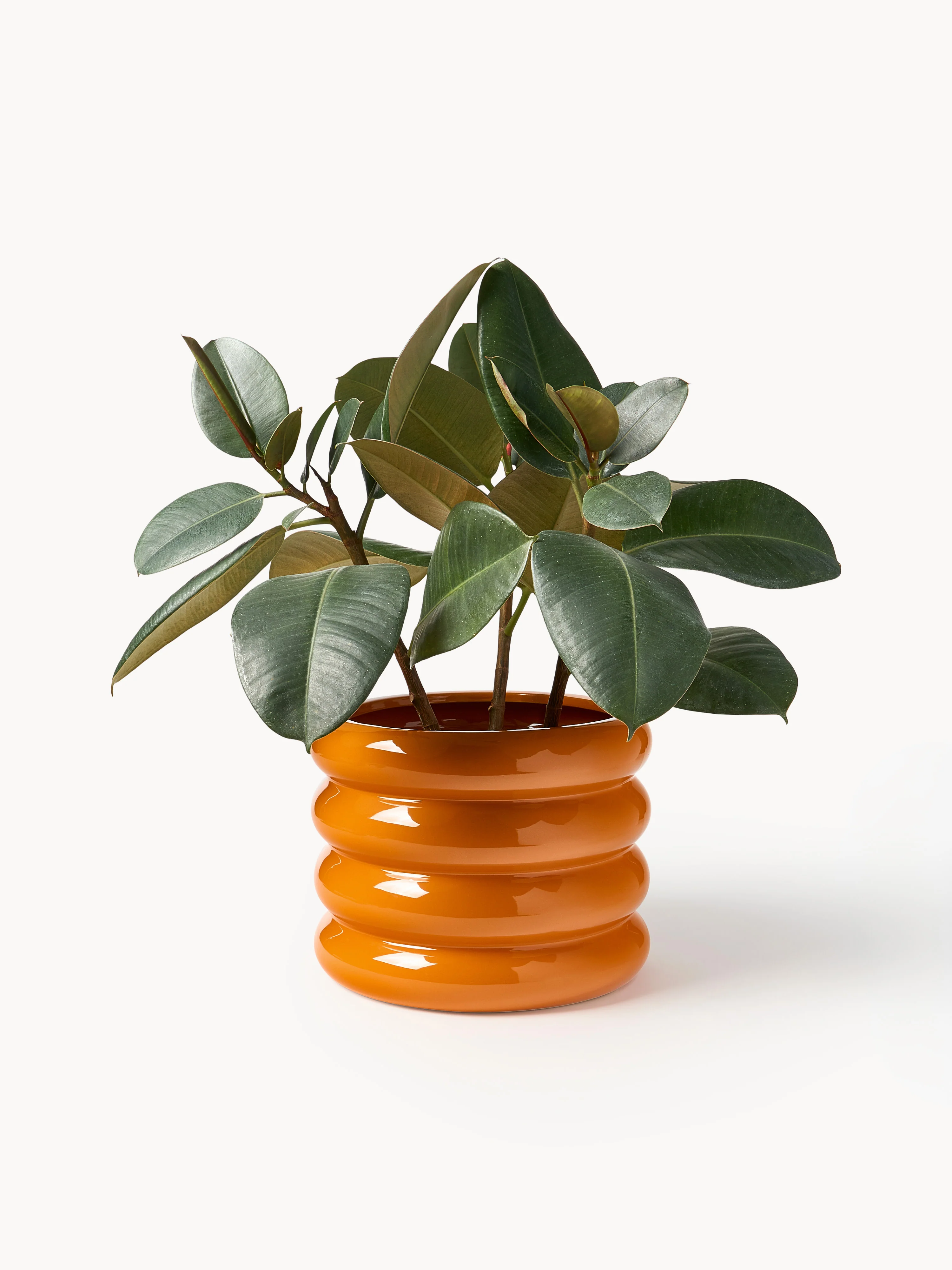 Plantenpot Rudi, H 23 cm