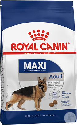 Royal Canin Size Health Nutrition Maxi Adult Aliment Pour Chien 10kg