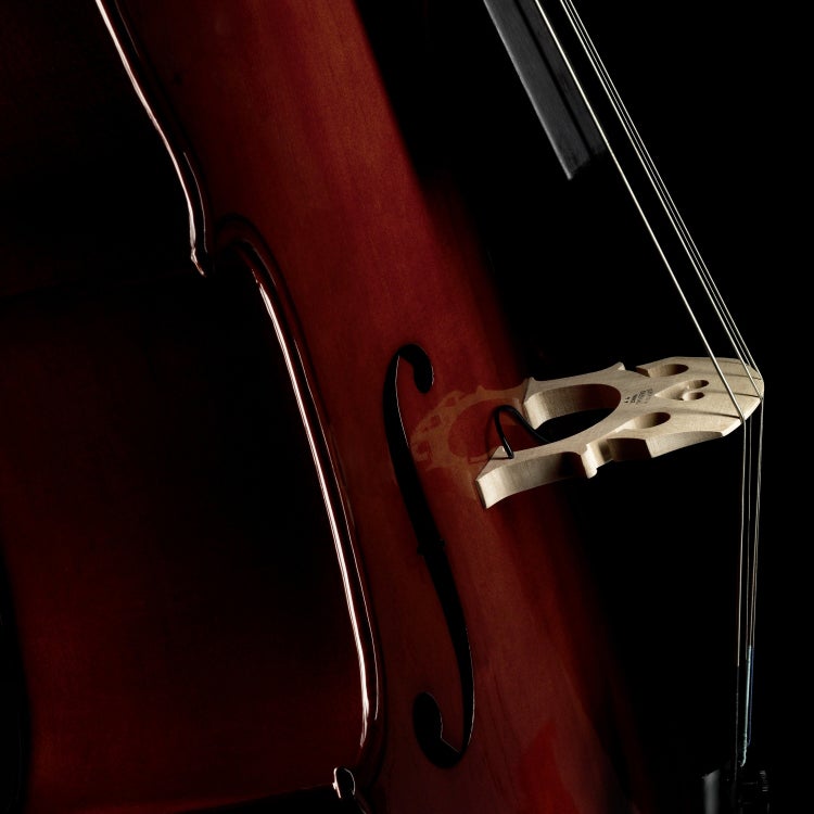 Fishman PRO-C20-0CE C-200 Concert Series cello pickup