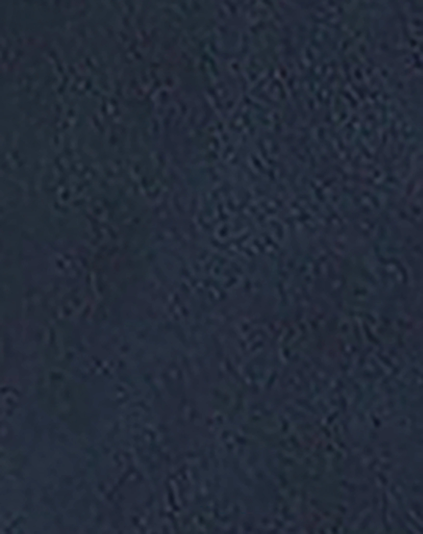 Fleecejacke NMMJULEN JURASSIC in dark sapphire