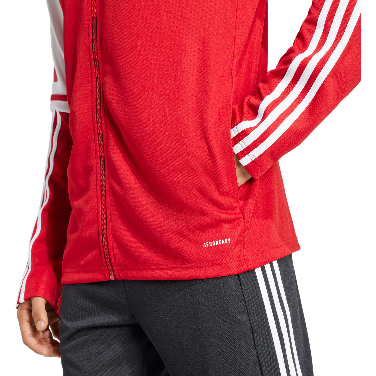 adidas Squadra 25 Training Jacket