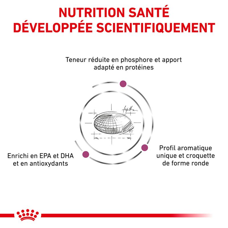 Royal Canin Veterinary Renal à prix discount sur bitiba.fr