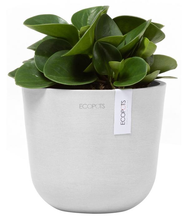 Ecopots Kunststoff-Topf Oslo Mini, rund