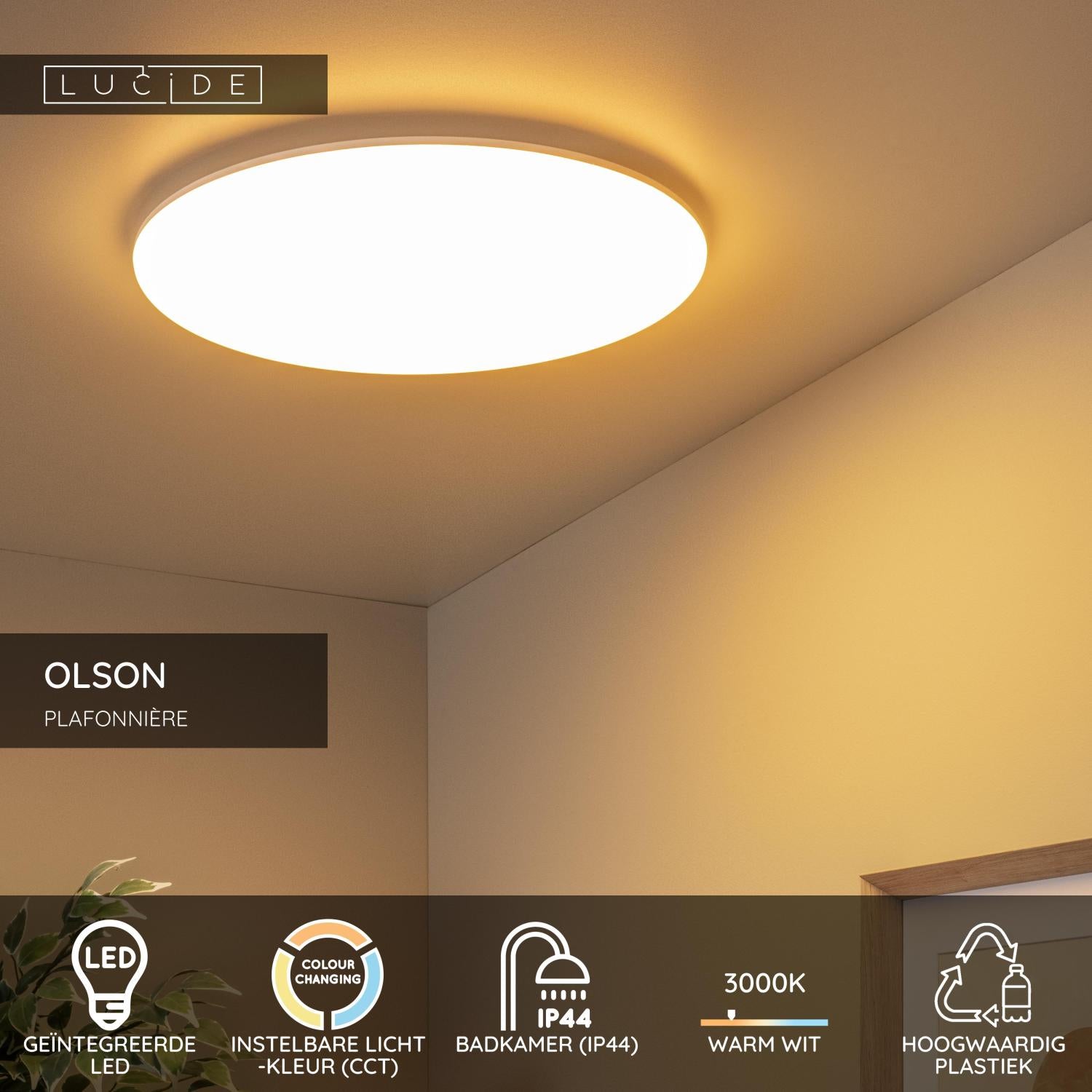 Lucide OLSON PlafonniÃ¨re - Opaal