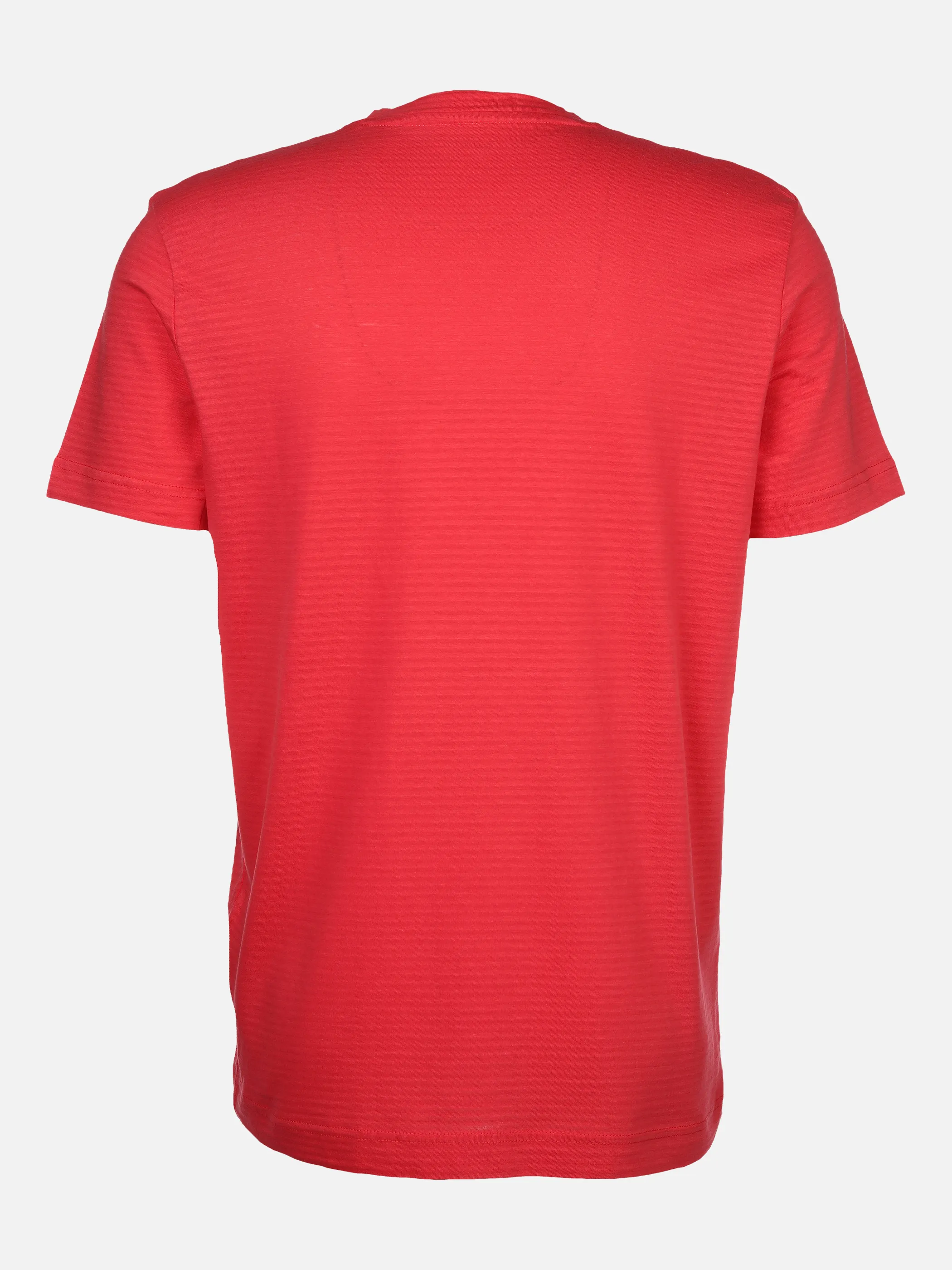 Herren T-Shirt im durchschimmernden Streifenlook
