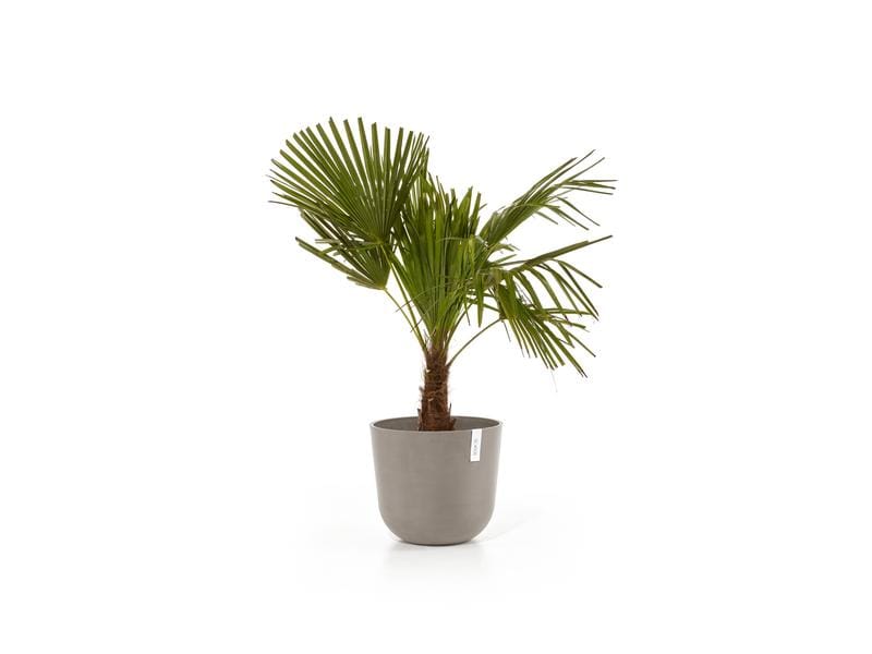 Ecopots Pflanzentopf Oslo 35, French Taupe Robuster und langlebiger Blumentopf