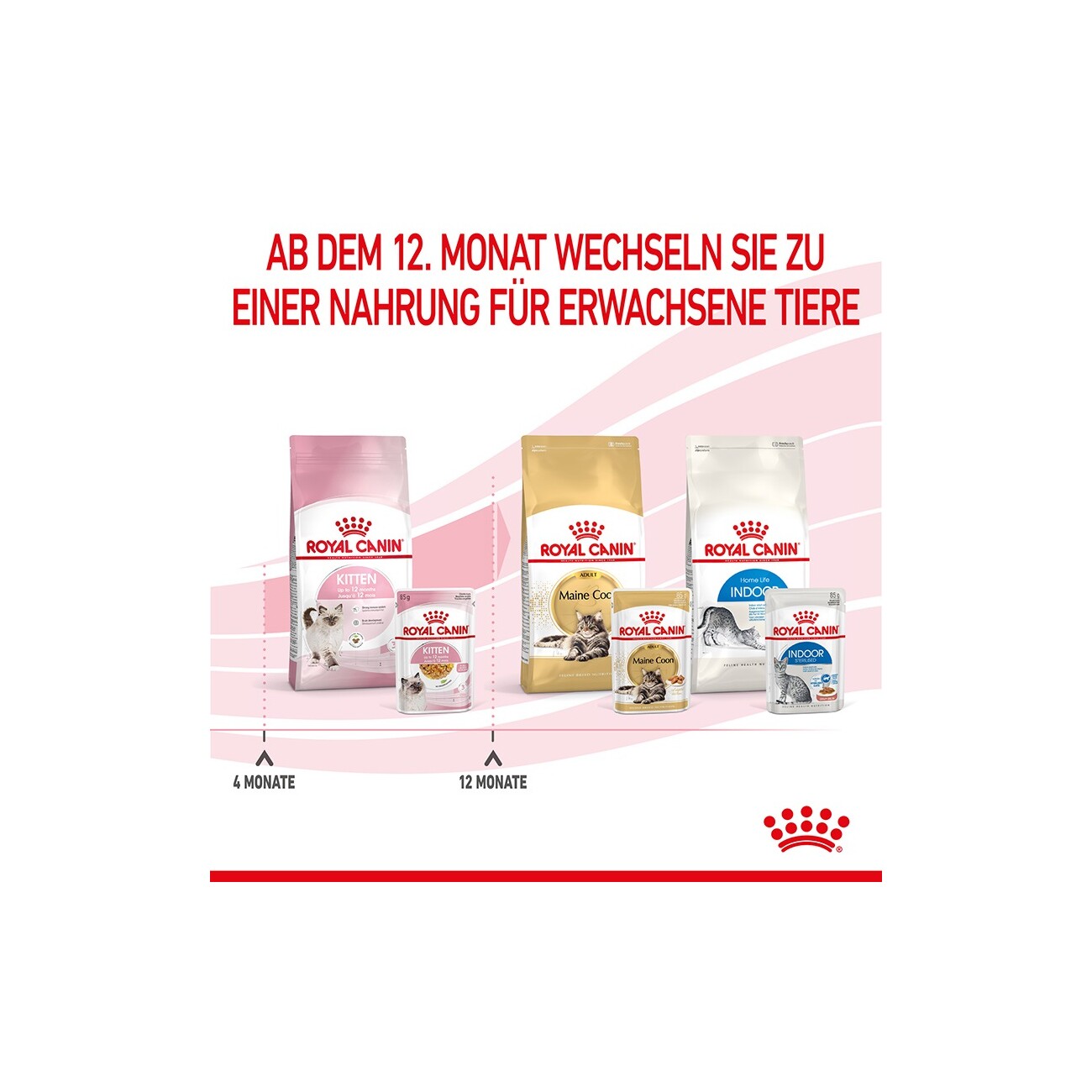 ROYAL CANIN Kitten in Gelee 12x85 g