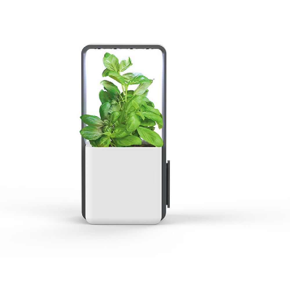 Potager intérieur clipsable avec kit de démarrage