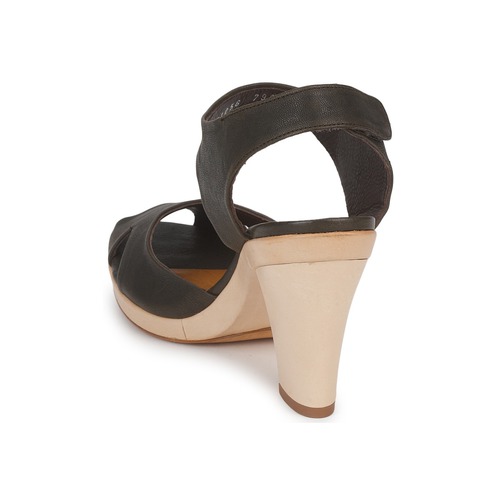 Coclico - EMA Negro