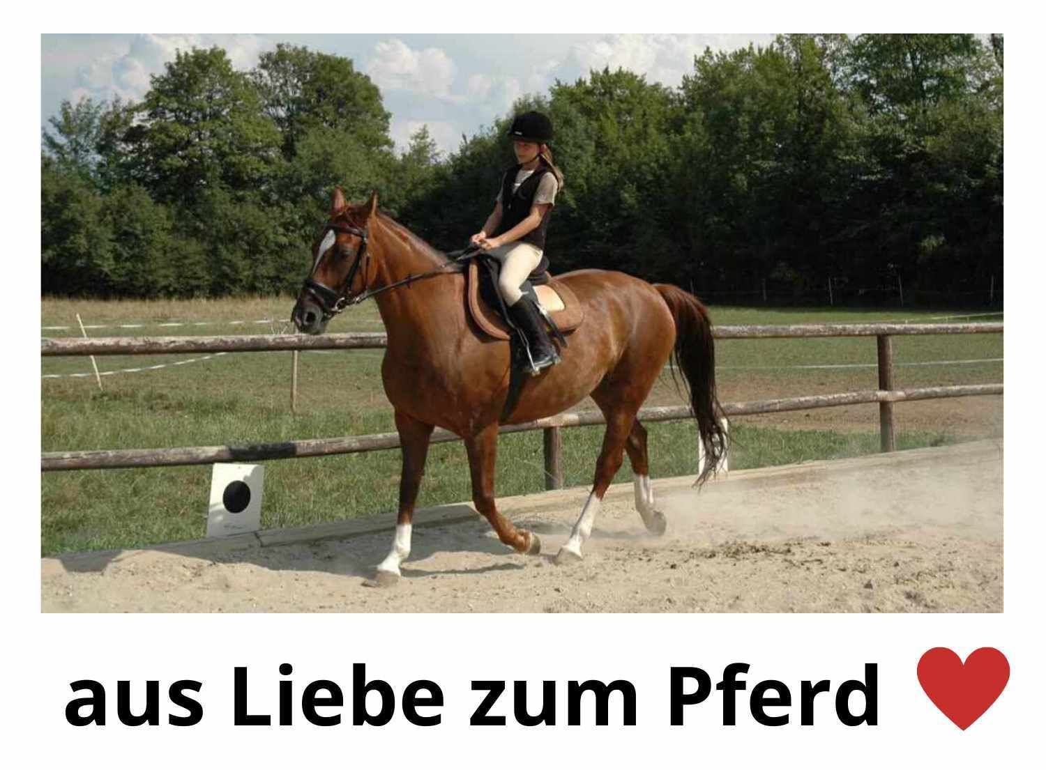 Herm Sperr Event Sattel