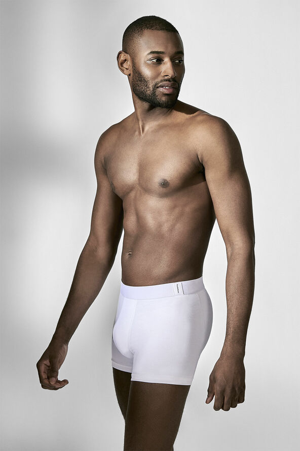 Bread & Boxers Boxer Brief modal 2-Pack White
