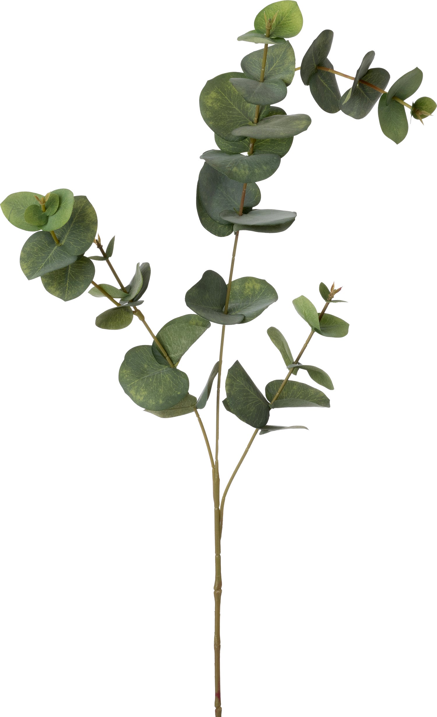 Intratuin kunsttak Eucalyptus groen 85 cm