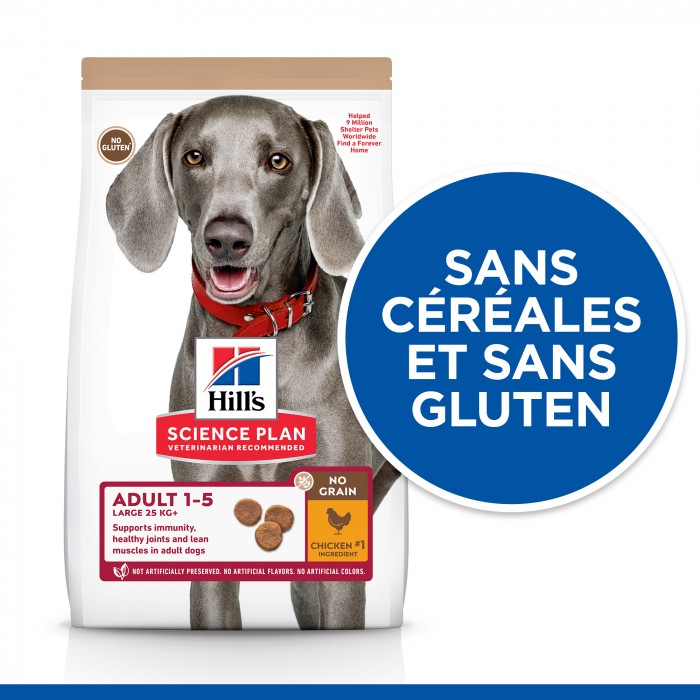 HILL'S Science Plan No Grain Large Adult au Poulet - Croquettes pour chien
