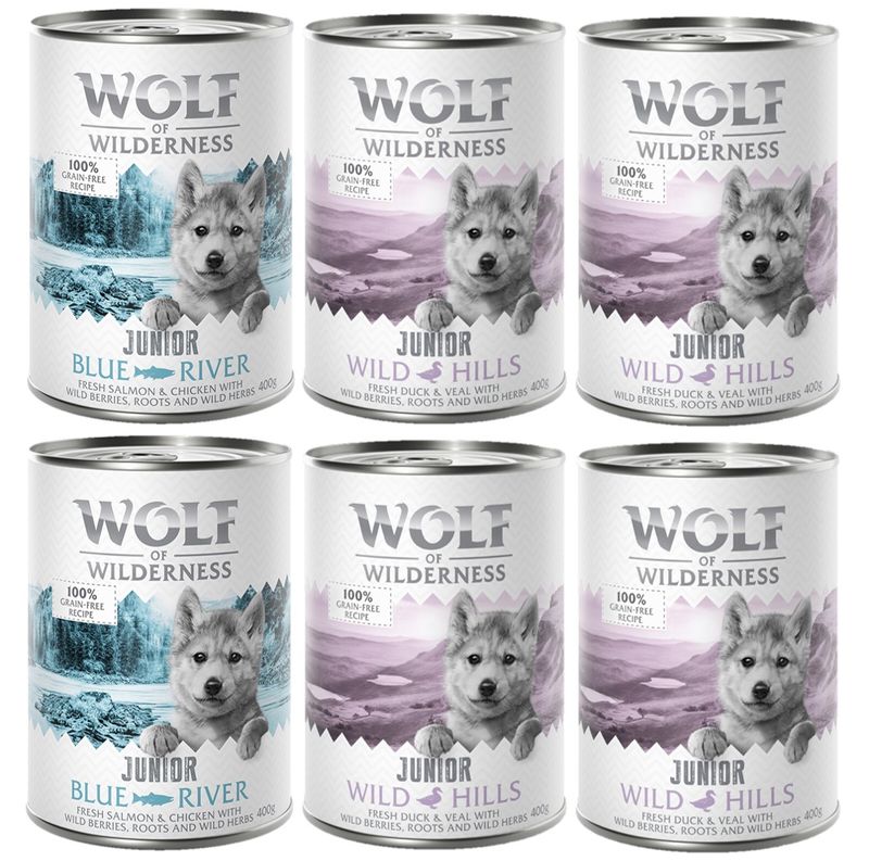Little Wolf of Wilderness 6 x 400 g pour chiot