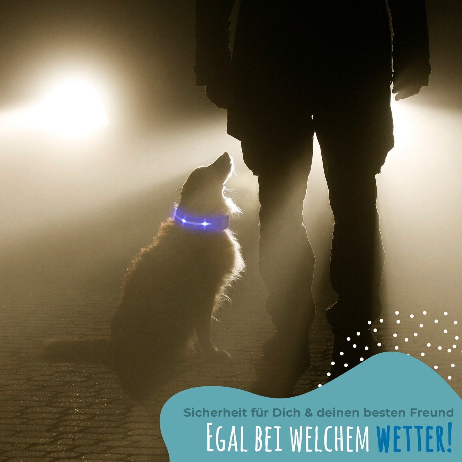 PETSATION Leuchthalsband  + Leine