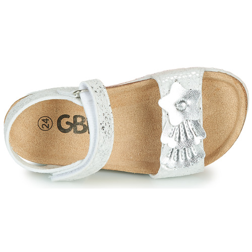 GBB - FAZZI Plata