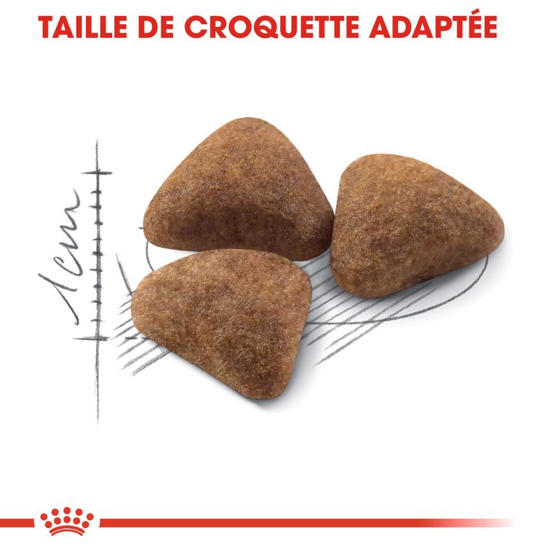 Royal Canin Home Life Indoor 27 à prix discount sur bitiba.fr