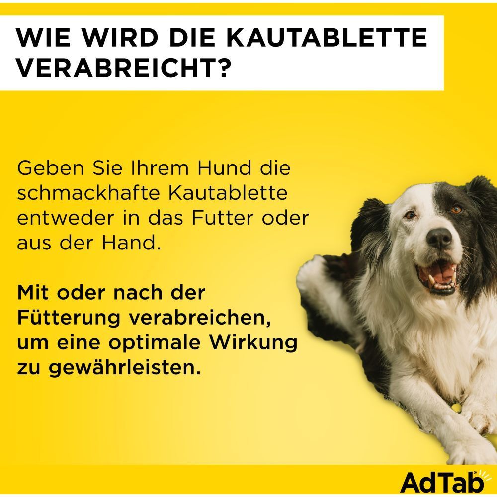 AdTab™ Hund über 22 bis 45 kg 900 mg