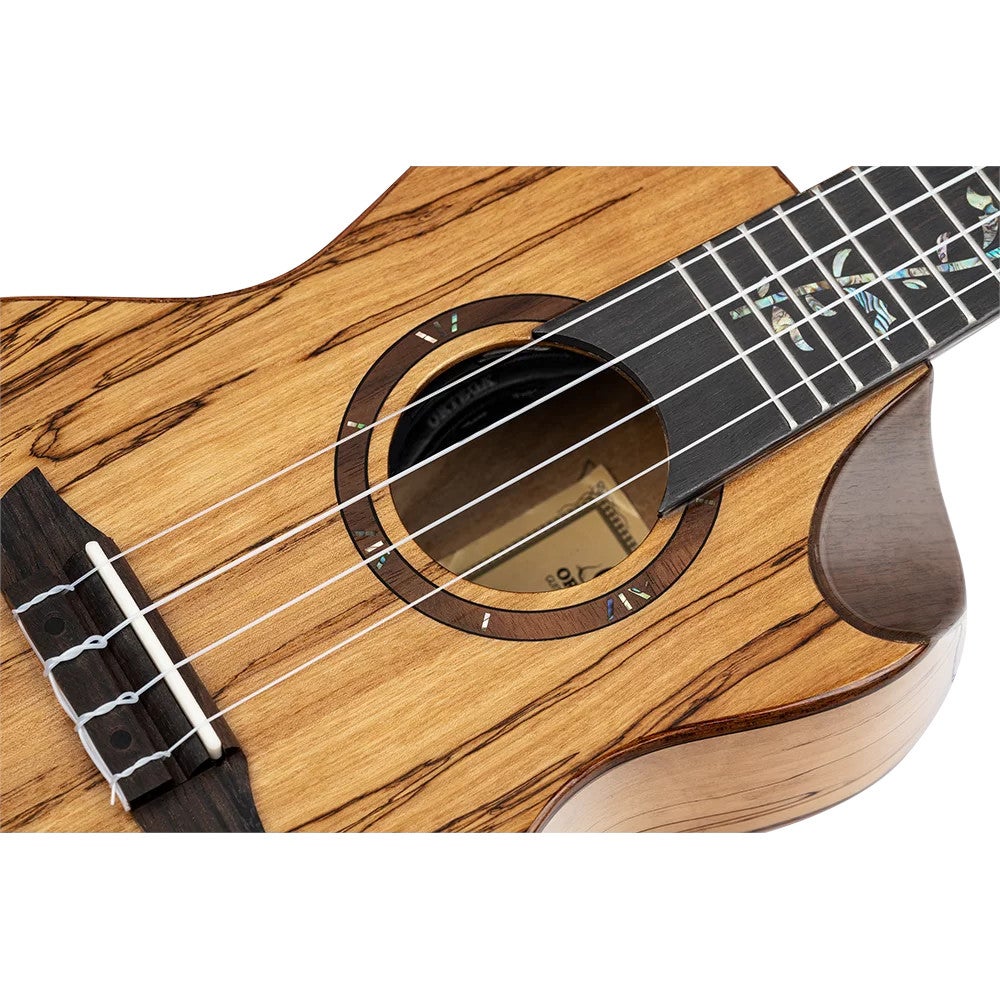 Ortega RUET-SMA Elite Series Concert Size Ukulele Spalted Maple elektrisch-akoestische concert ukelele met gigbag
