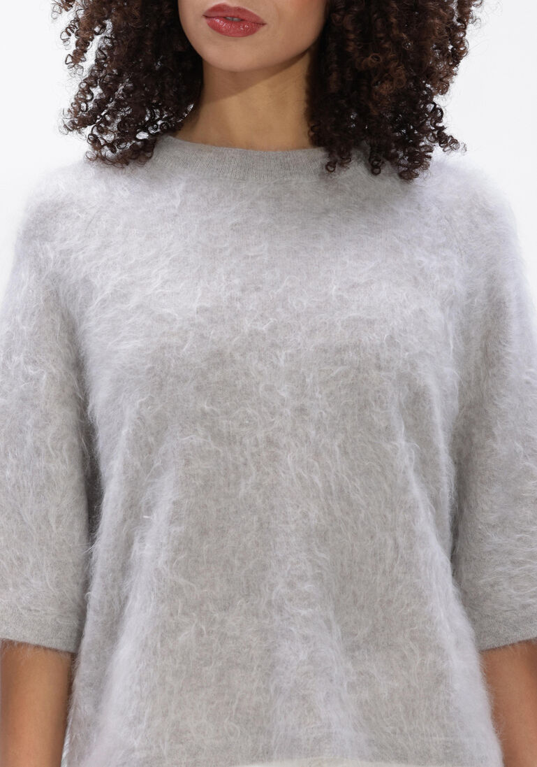 grijze absolut cashmere trui jenna