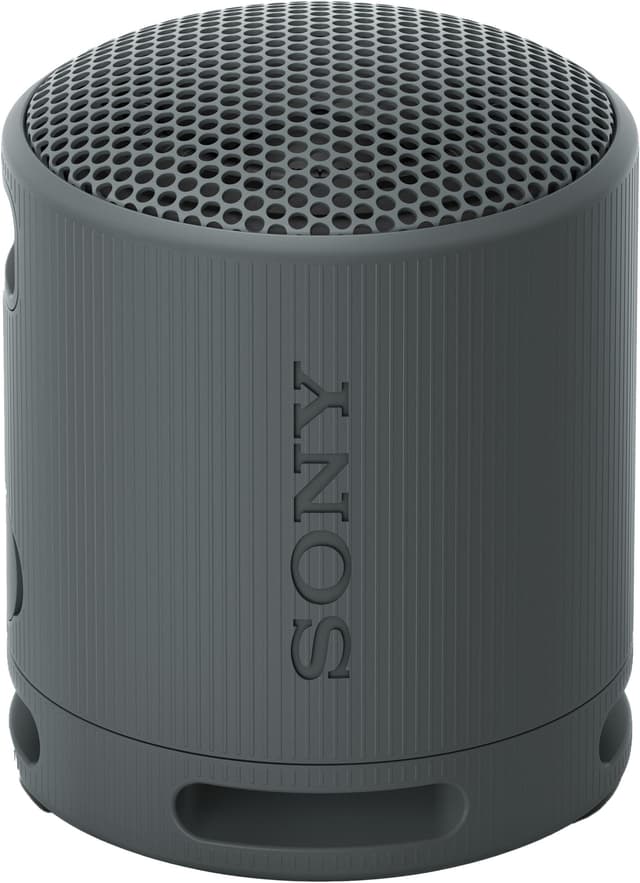 Sony SRS-XB100 trådløs bærbar højttaler (sort)