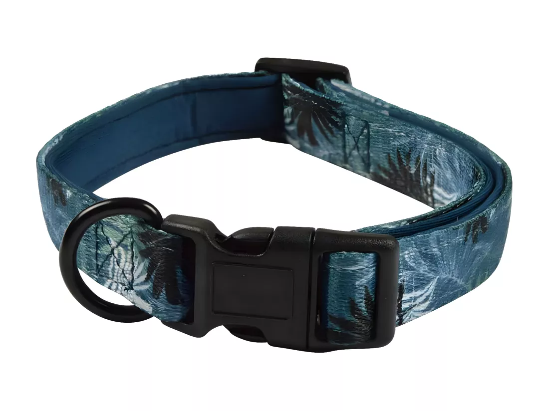 Collier pour Chien Réglable 