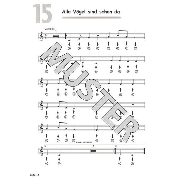 Streetlife Music Mundharmonika spielen macht