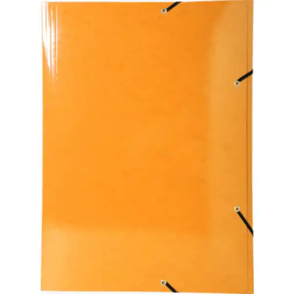Iderama Sammelmappe mit Gummizug A3, sortiert