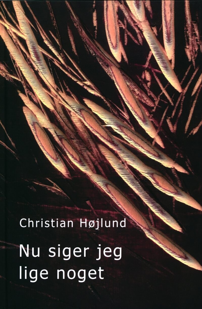 Nu Siger Jeg Lige Noget - Christian Højlund - Bog