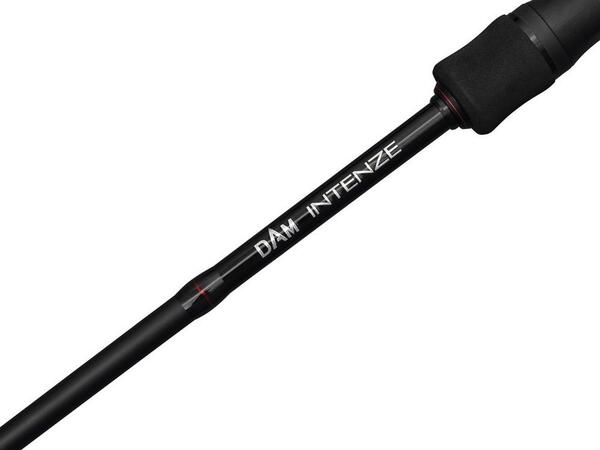 Canne Dam Casting Intenze2 Baitcasting
