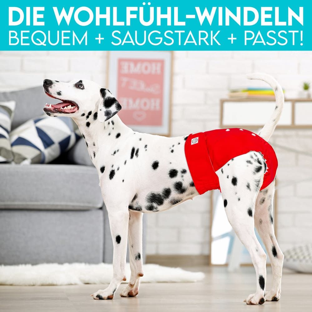 HUND IST KÖNIG® Windeln für Hündinnen, saugstarke Windeln, 3-Fach justierbar für festen Sitz