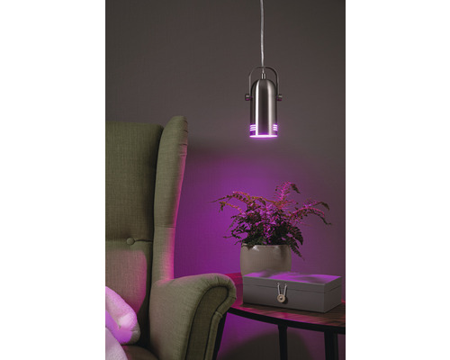 Plantenlamp, 1-lamp, HxØ 180x10 cm, ijzer/geborsteld