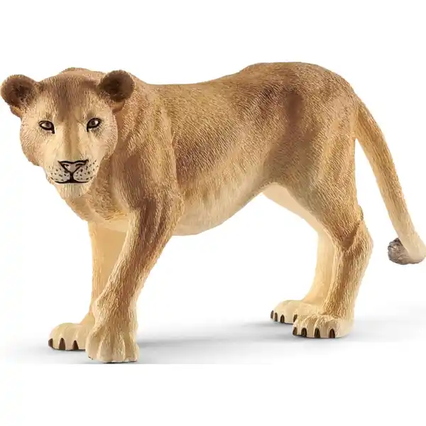 Löwin 14825