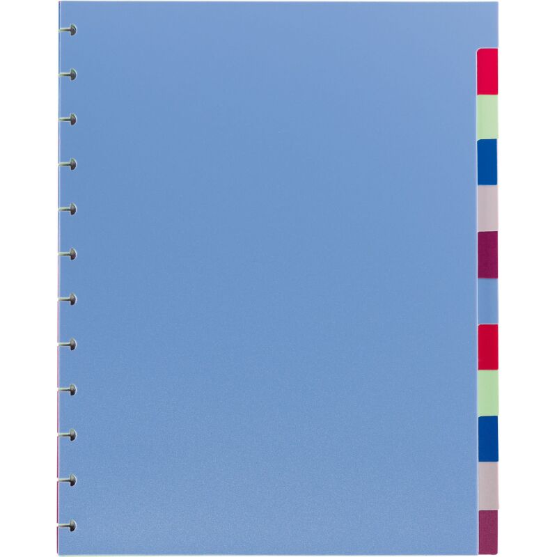 Intercalaire neutre multicolore A4 Viquel plastique 12 onglets - 1 jeu