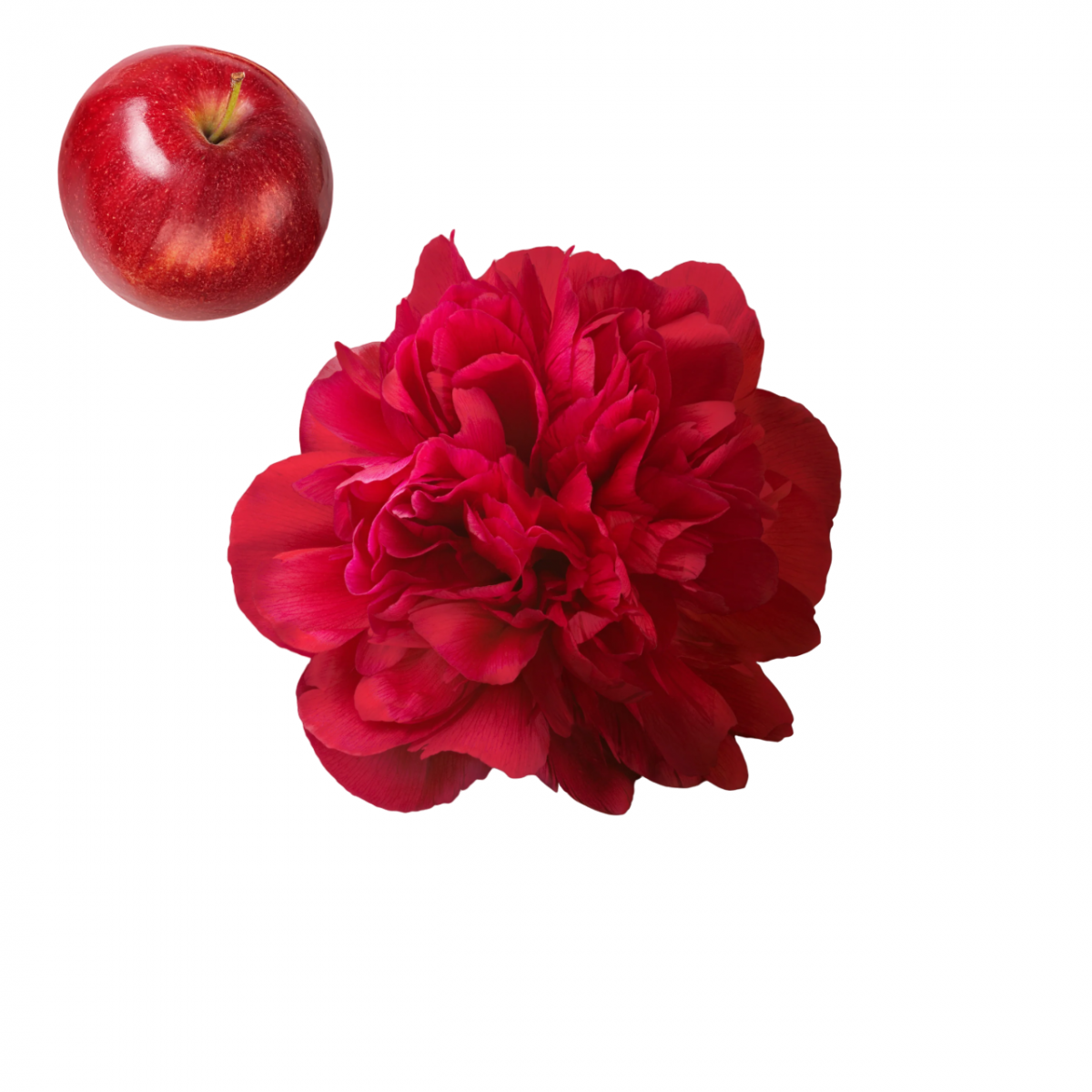 Mauboussin In Red Mauboussin In Red Eau de Parfum
