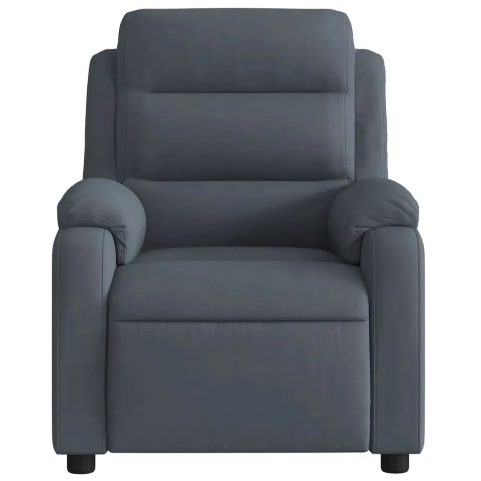 vidaXL - Fauteuil - Grijs - Fluweel