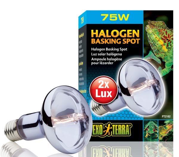 Exo Terra® Halogen Basking Spot