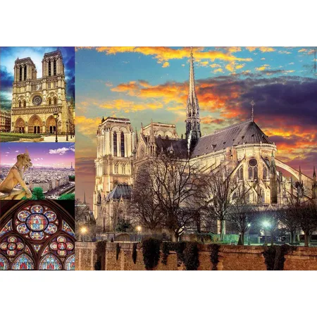 Educa Notre Dame Collage, 1000 Teile
