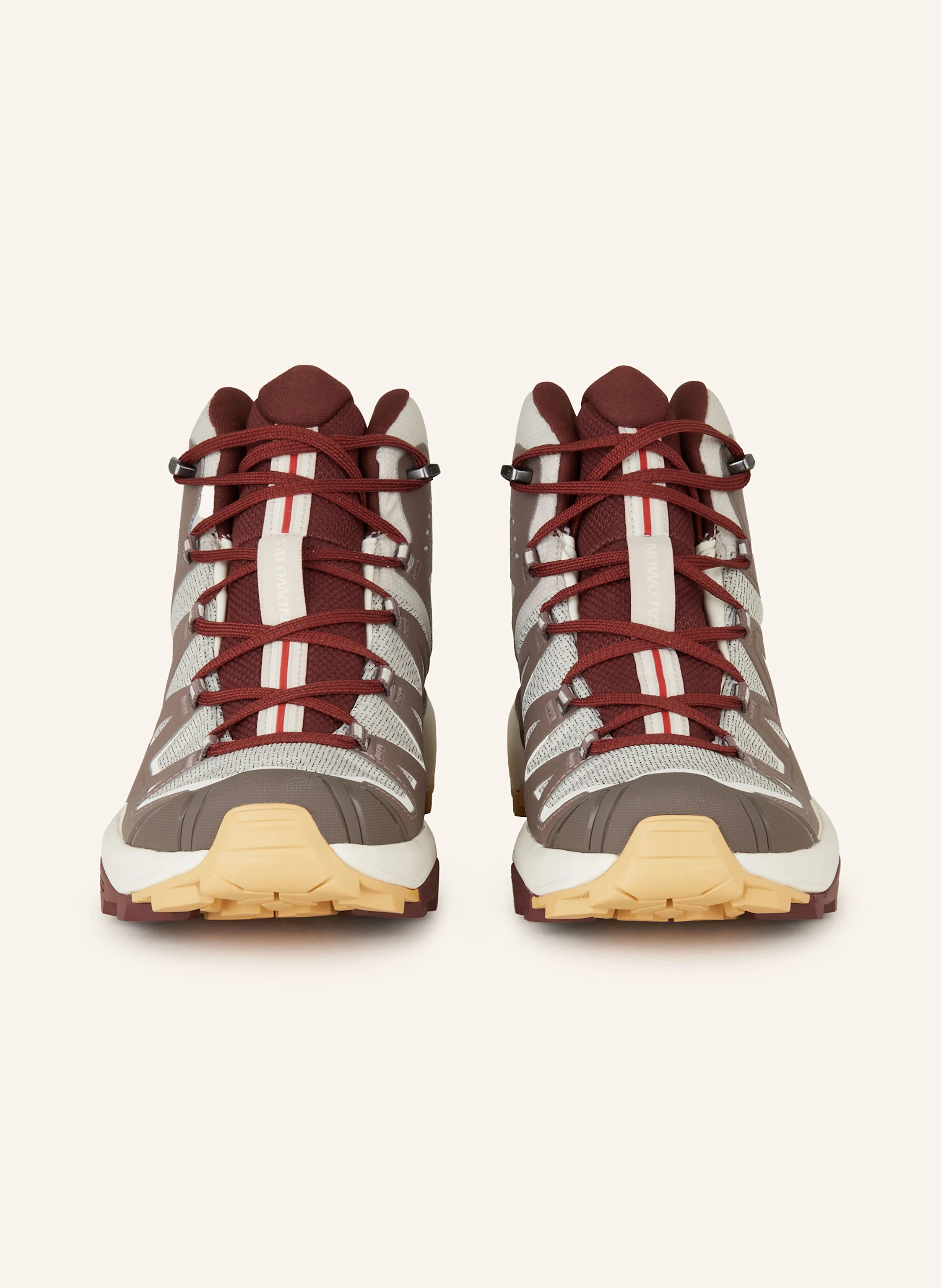 SALOMON Wanderschuhe X ULTRA 360 EDGE MID GTX